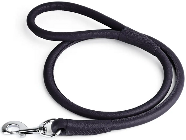 Rolled Leather Leash