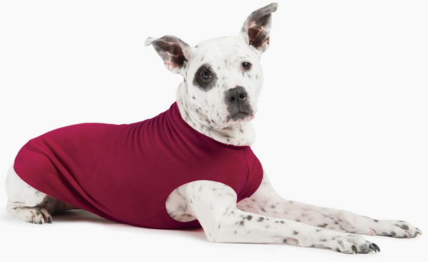 Stretch Fleece Sizes 12-20