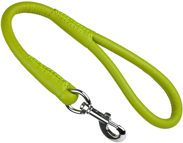 Rolled Leather Leash