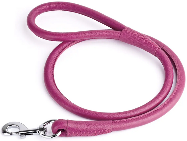 Rolled Leather Leash