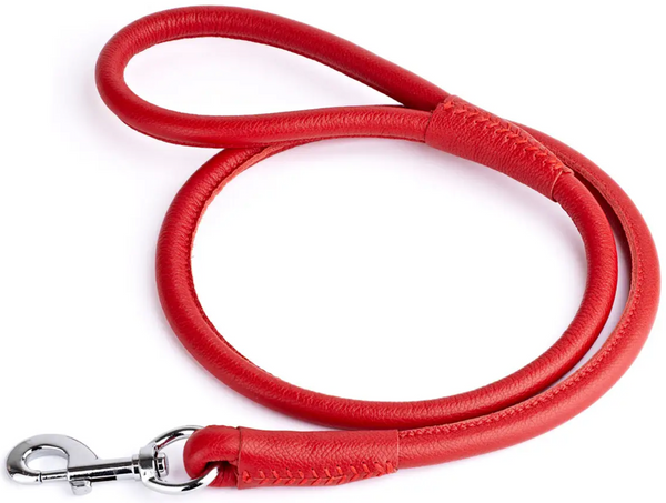 Rolled Leather Leash
