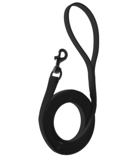 Biothane Leash
