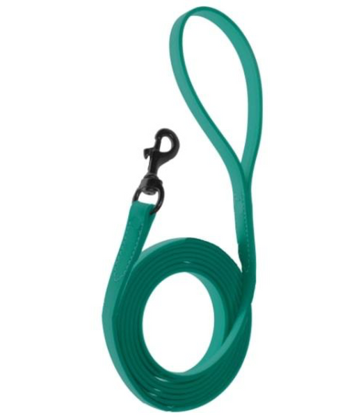 Biothane Leash
