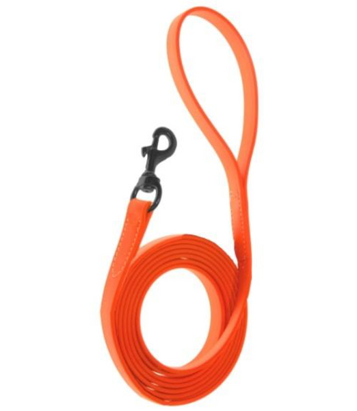 Biothane Leash