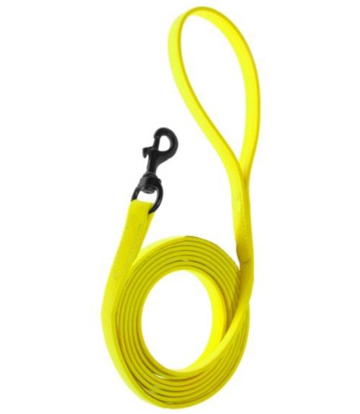 Biothane Leash