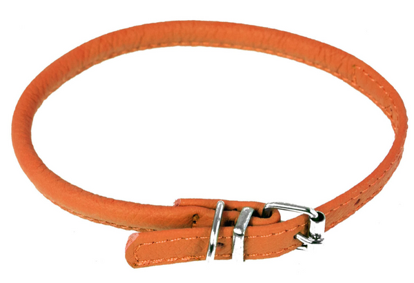 Rolled Leather Buckle Collar