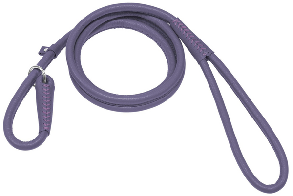 Rolled Leather Slip Lead