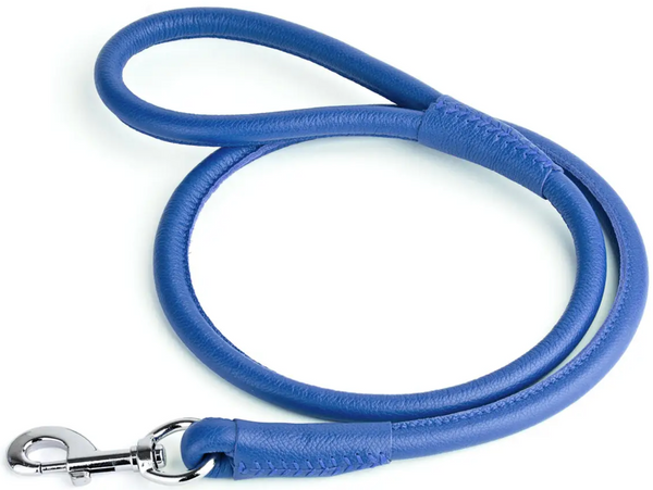 Rolled Leather Leash
