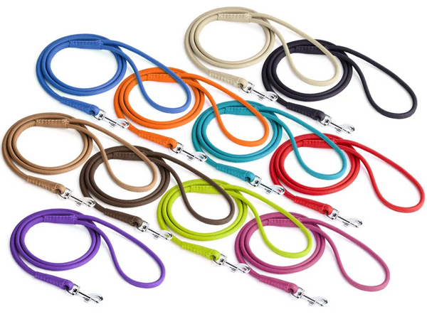 Rolled Leather Leash