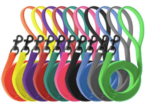 Biothane Leash