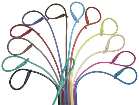 Rolled Leather Slip Lead